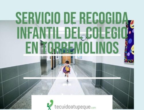 Recoger o llevar niños al colegio en Torremolinos